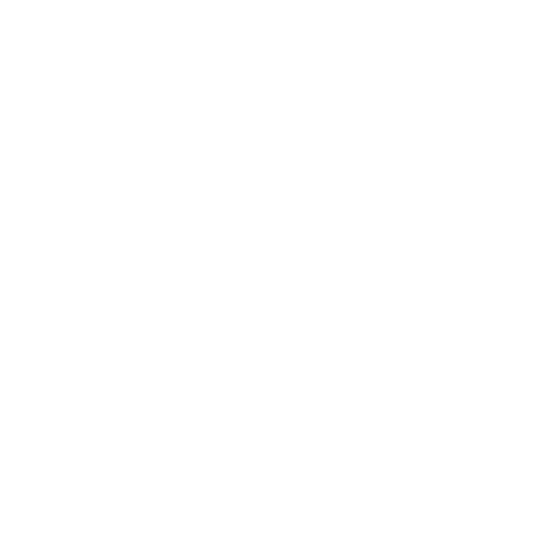Fire icon