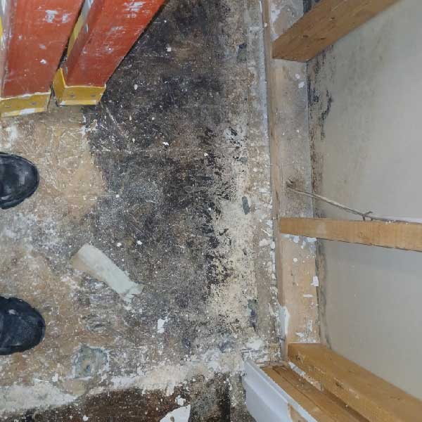 Technician repairing moisture source and removing mold from damaged drywall