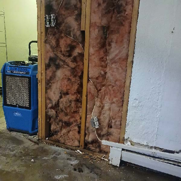 Mold remediation cleaning, disinfecting, and restoring home to pre-loss condition