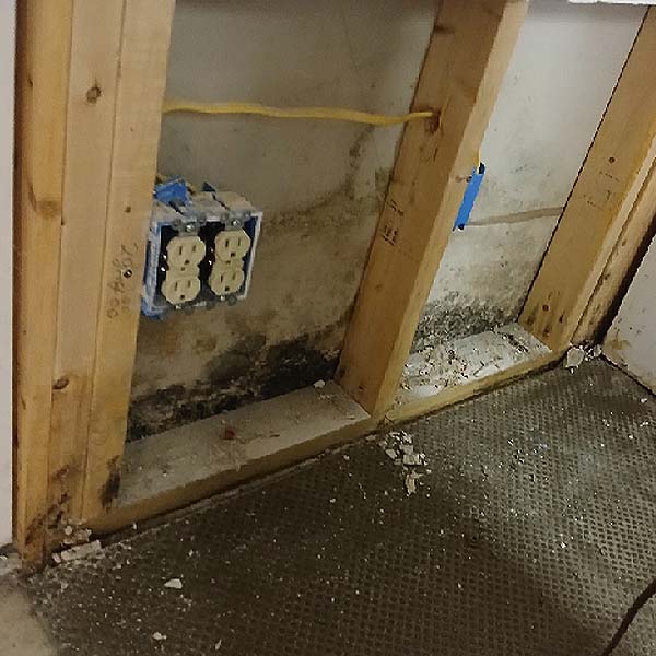 Mold growth on damp wall surface in residential home