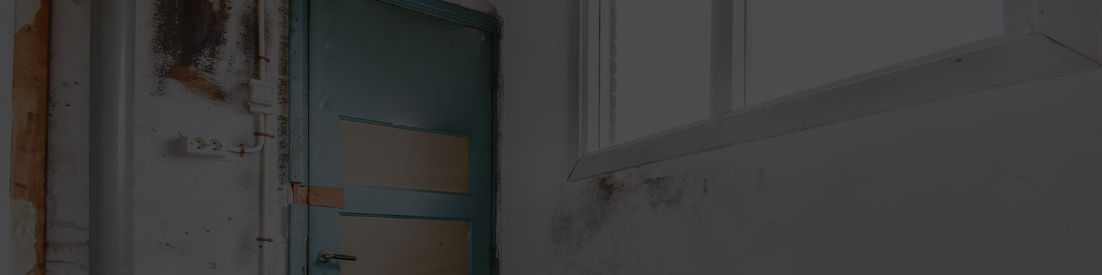 Mold remediation services with KMB removing mold in residential room